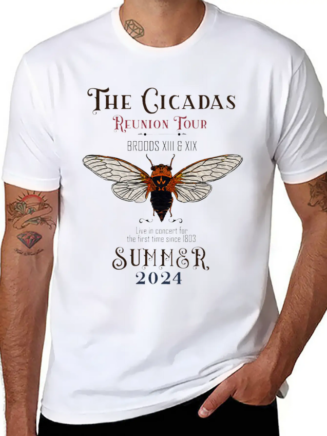 The Cicada Reunion U.S Tour 2024 Cicada Concert Lightweight Cotton T-Shirt – Daily Comfort Graphic Shirt